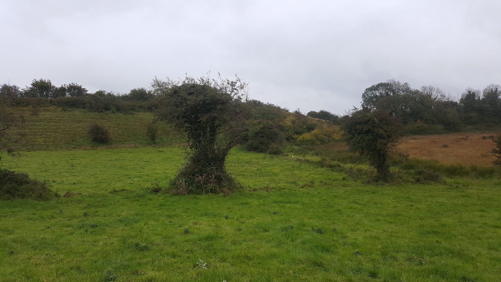 View of Site 1