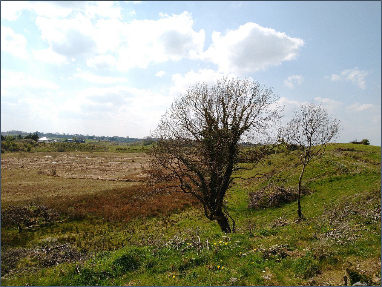 View of wet grassland to the SE of Site