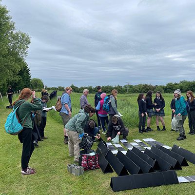 Bioblitz 11