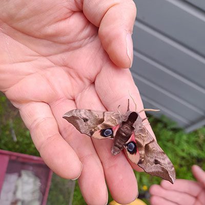 Bioblitz 14