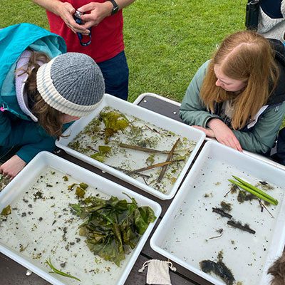 Bioblitz 7