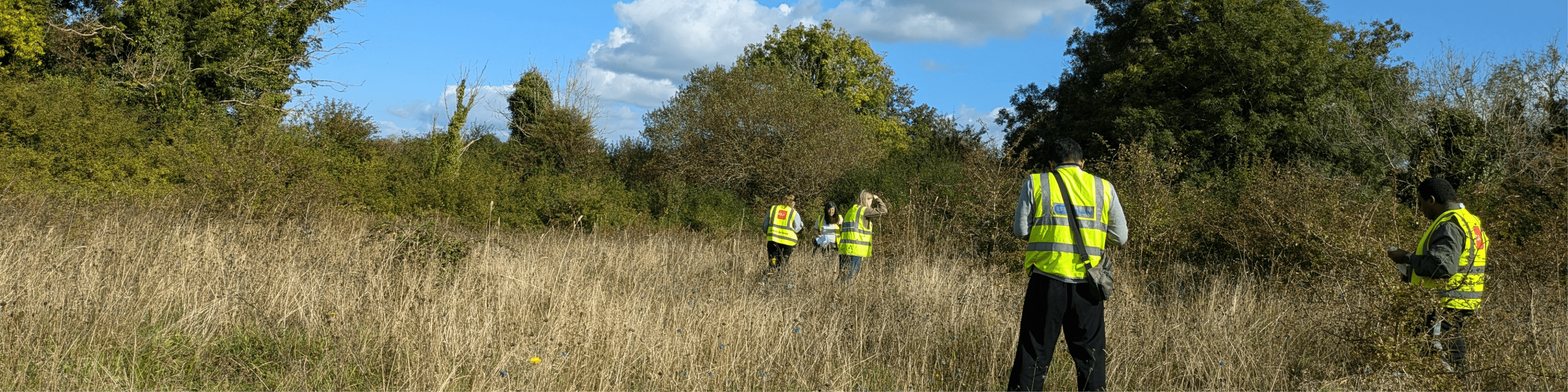 Seed collection