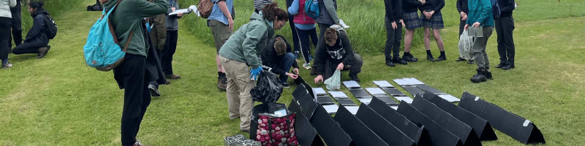 Ecology Newsletter 6