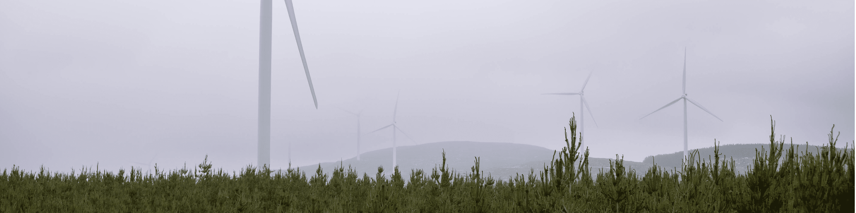 Wind Turbines Newsletter