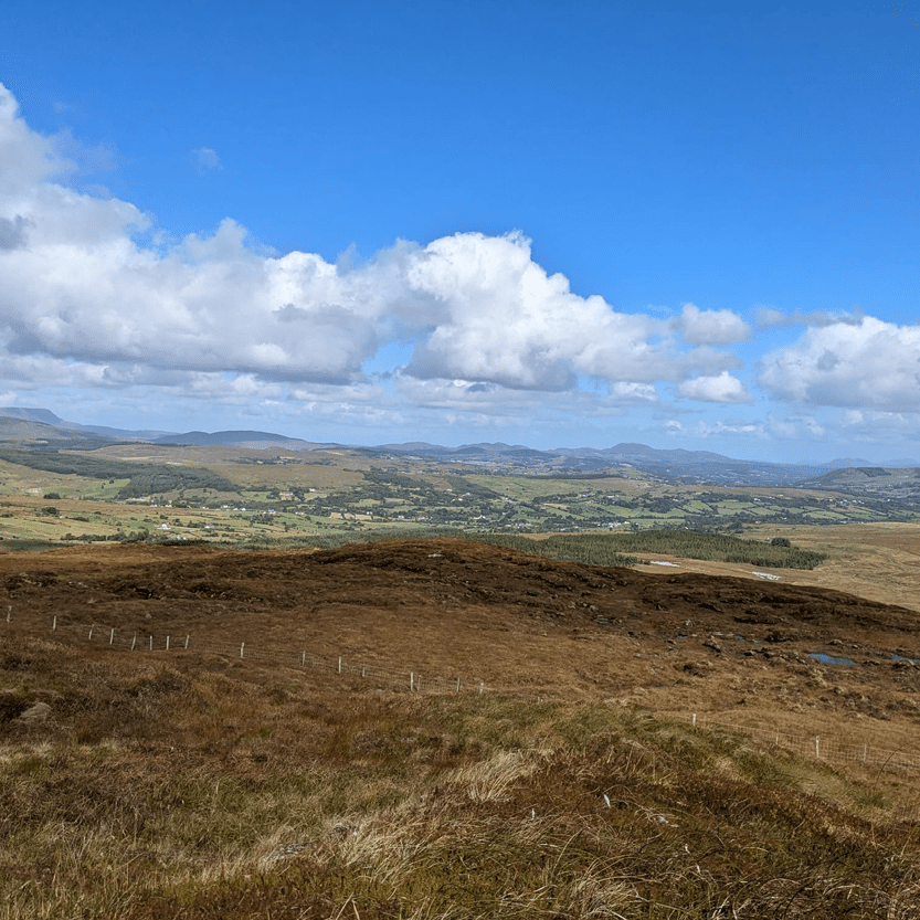 Cuan Feely 1