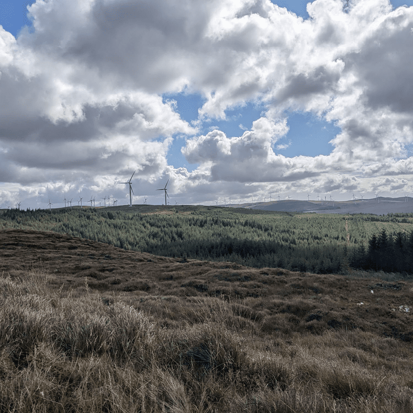 Cuan Feely 2