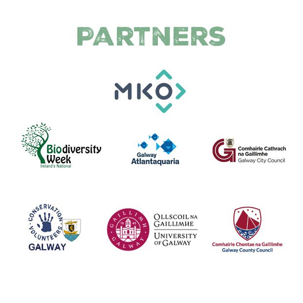 Website partners 2025