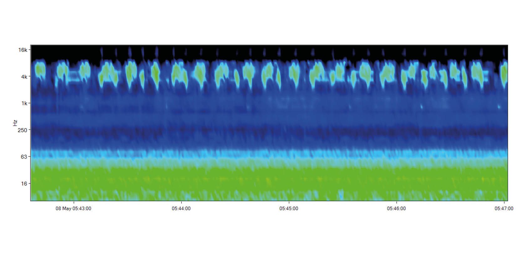 Dawn chorus article image