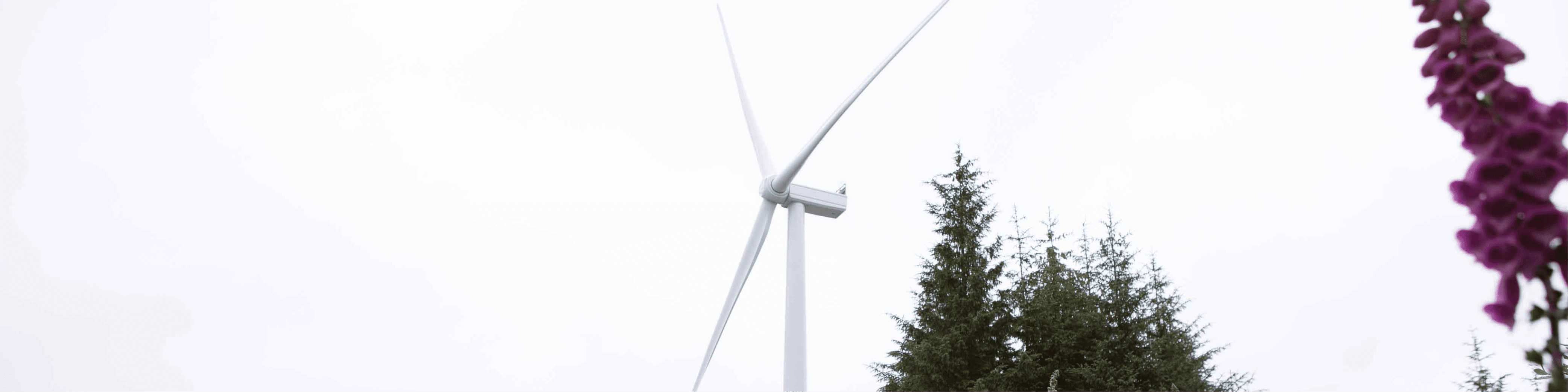 Wind Energy