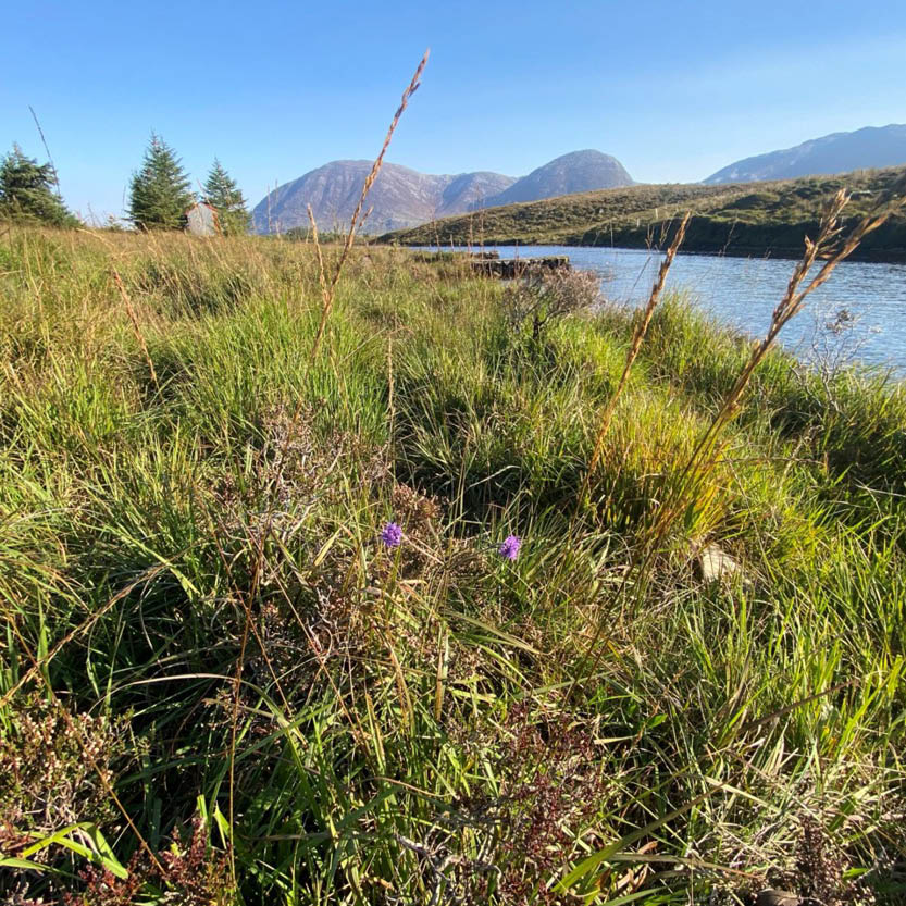 Derryclare 1