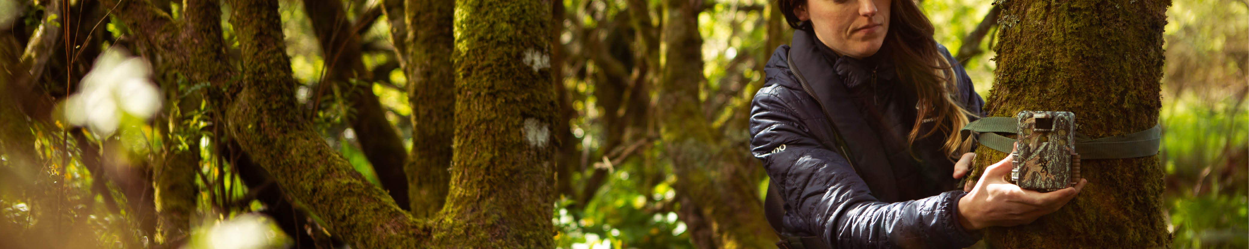 Ecology Habitats Directive