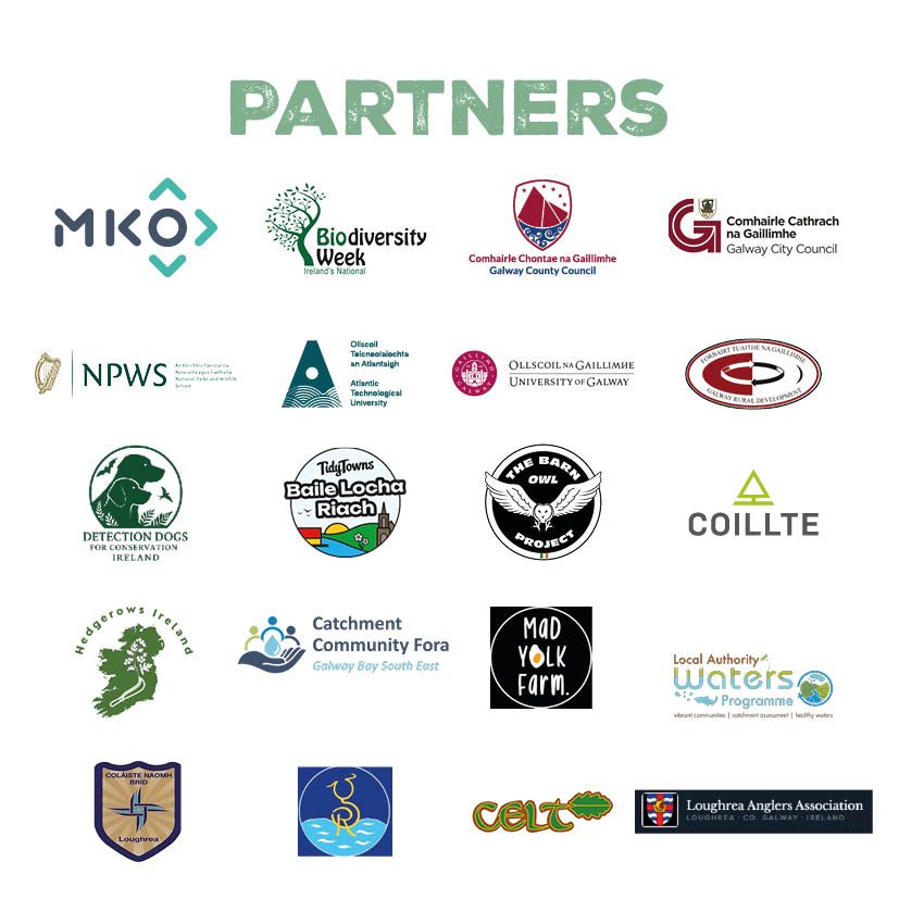 Bioblitz website partners final