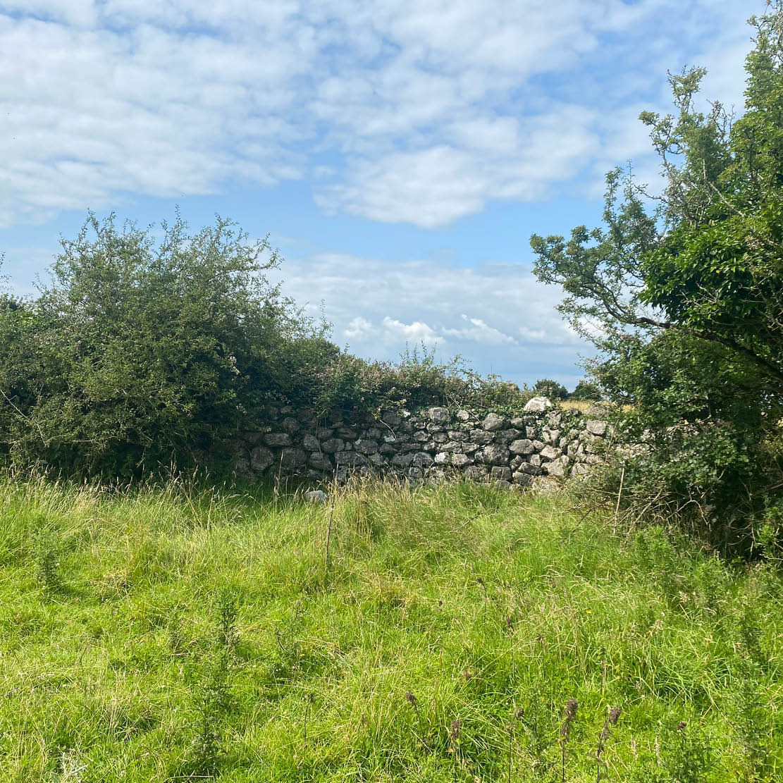 Kilchreest Quarry 2