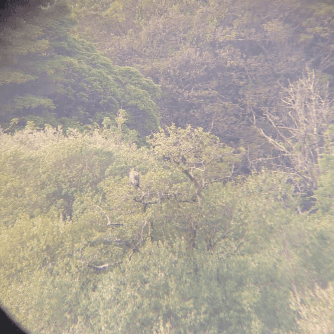 Bioblitz 2