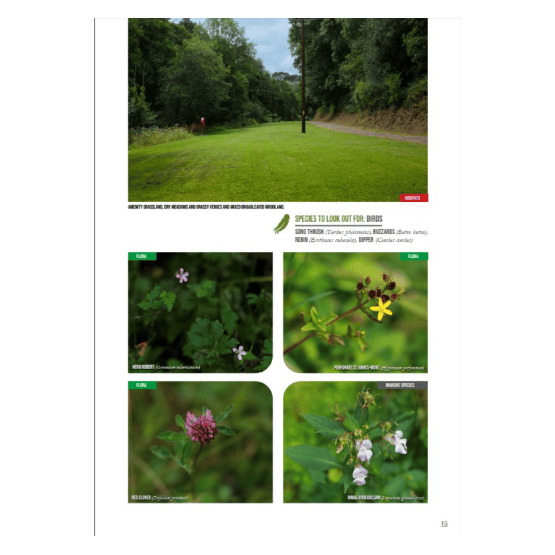 Nature in cork 1