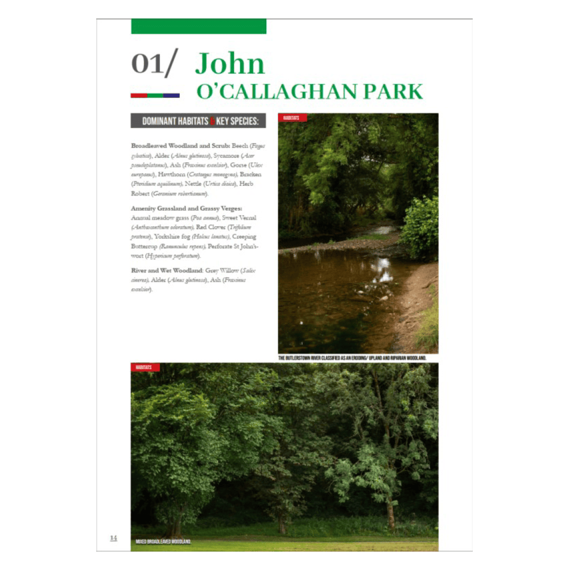 Nature in cork 2