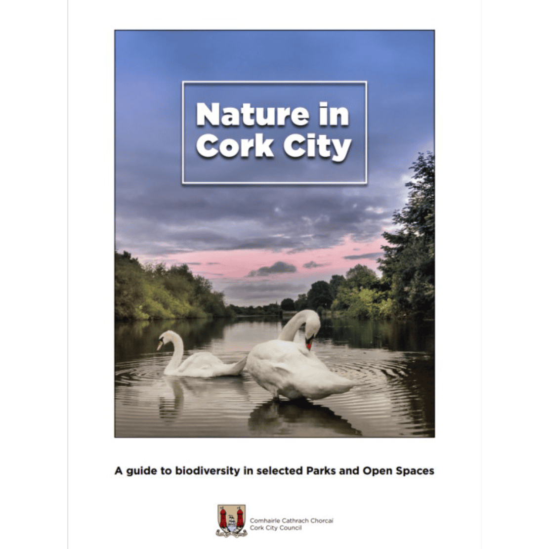 Nature in cork