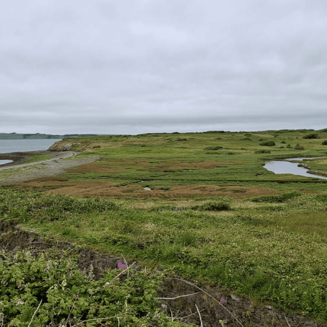 Scattery Island Trip 3