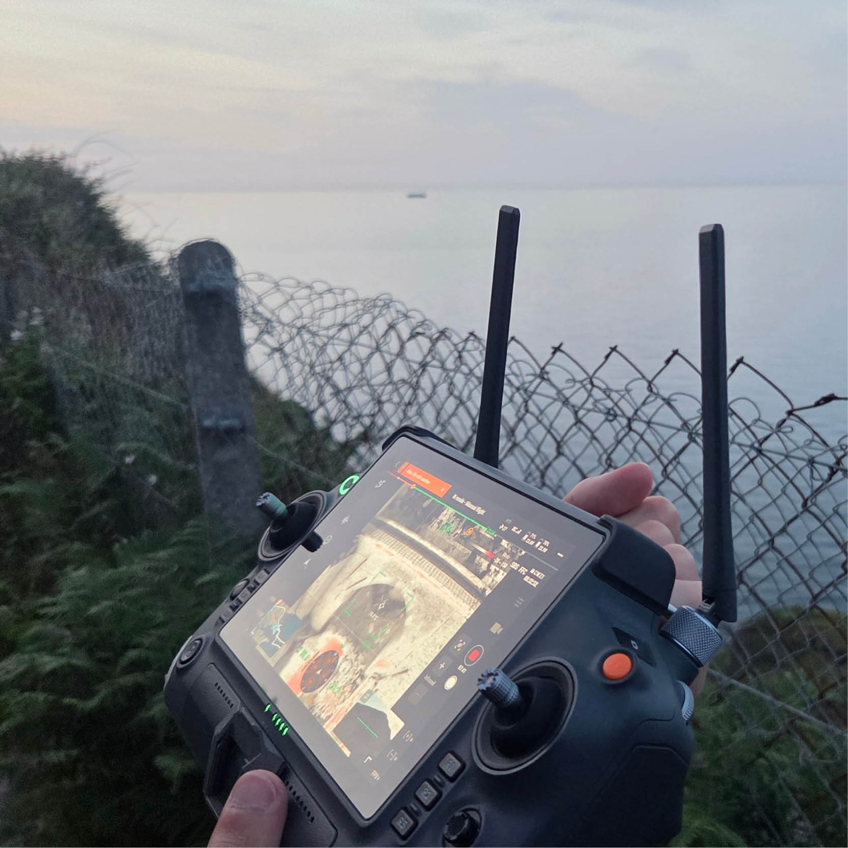 Bat surveys 1