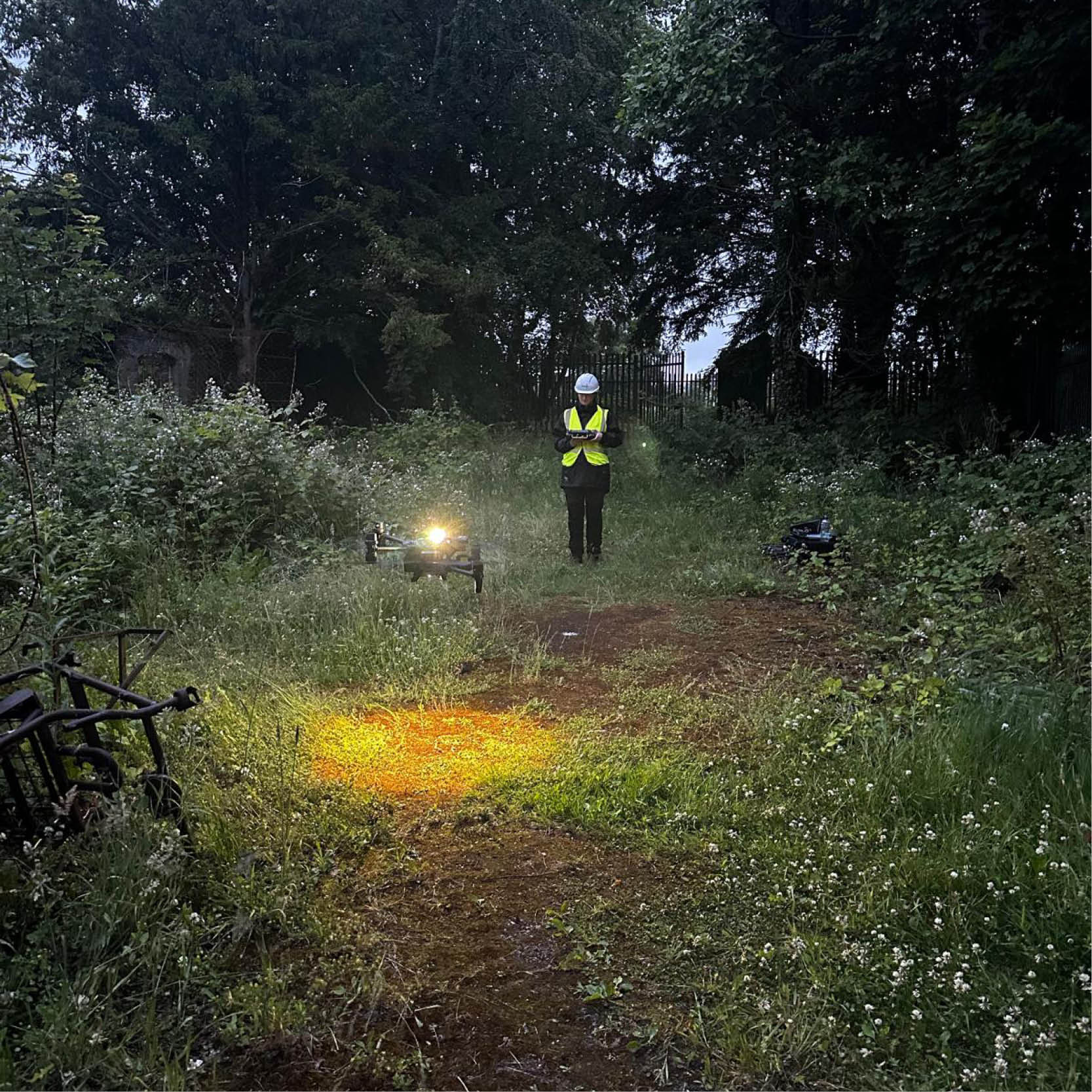 Bat surveys 4